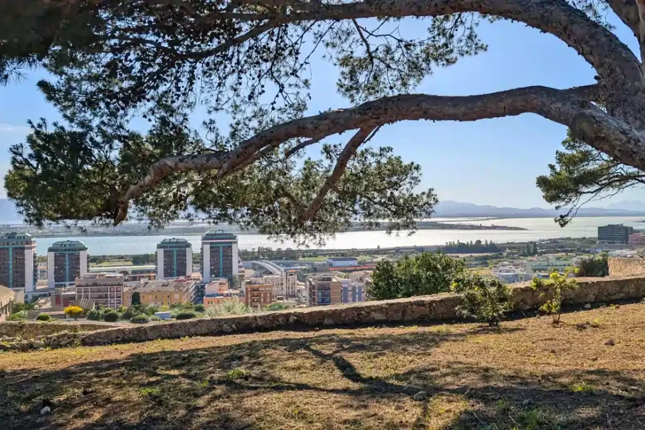 Cagliari, panorama verde da Tuvixeddu | In Sardegna con Dani
