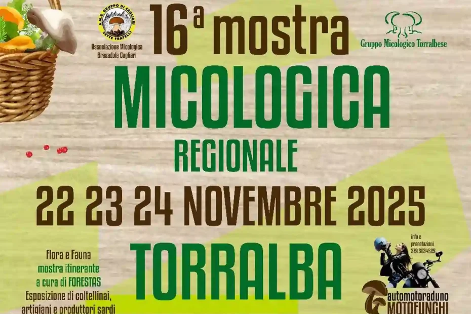 Mostra Micologica Regionale 2025 a Torralba