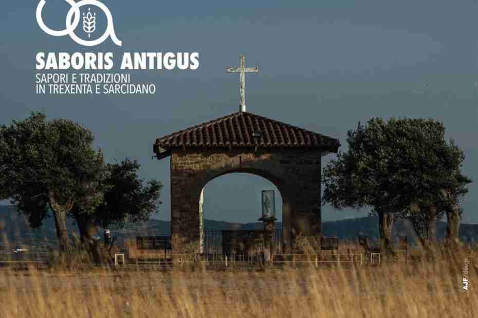 Immagine delle campagne di Suelli, coi campi di grano che ricordano Saboris Antigus 2025 | In Sardegna con Dani
