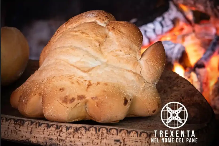 Un coccoi, pane tradizionale della Trexenta. dove si in nome del pane 2025 | In Sardegna con Dani