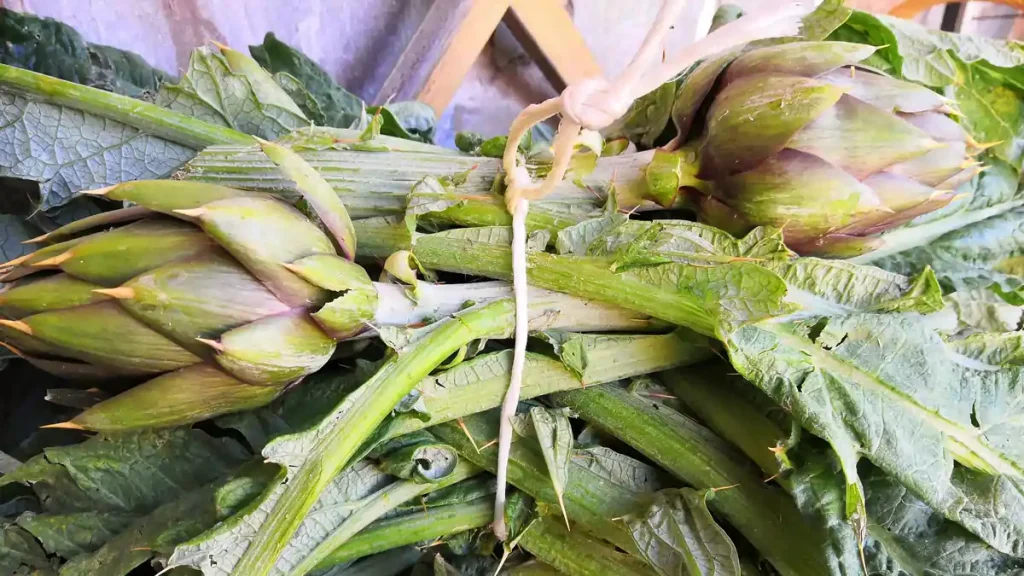 Carciofo Spinoso di Sardegna doc | In Sardegna con Dani