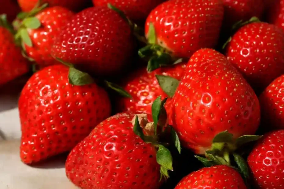 Sagra della Fragola di Arborea 2026: scopri il programma completo del 19 aprile 2026 (AGGIORNATO)