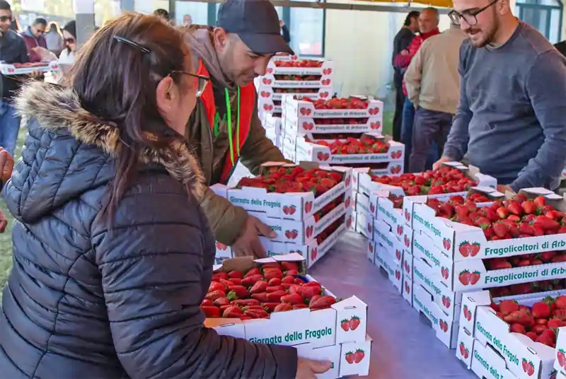 Sagra delle fragole di Arborea, foto di repertorio presa dalla pagina della pro loco | In Sardegna con Dani