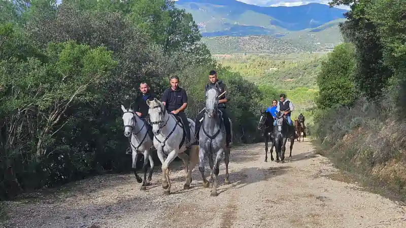 Escursione a cavallo nel Parco naturale di Tepilora | In Sardegna con Dani