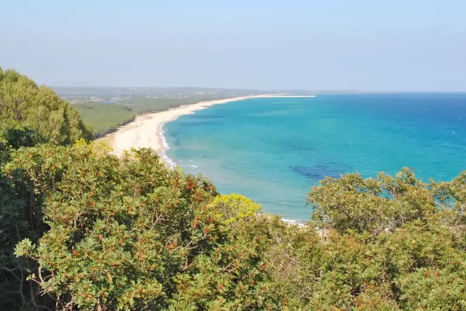 Estate nel cuore della Sardegna a Orosei, foto del suo litorale sabbioso | In Sardegna con Dani