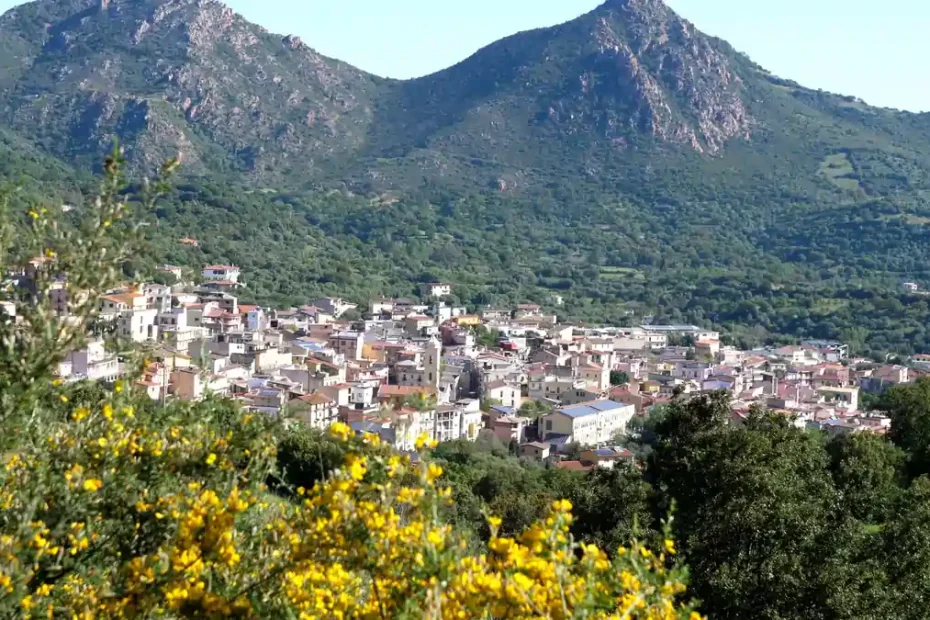 Primavera nel cuore della Sardegna a Loceri, vista panoramica sula paese e la sua vallata | In Sardegna con Dani
