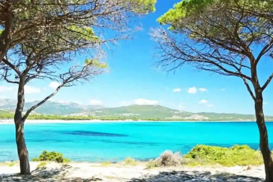 Budoni Summer Welcome, l'evento ideale per cominciare a scoprire il litorale di Budoni | In Sardegna con Dani